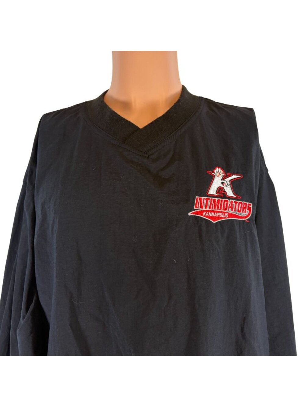 Vintage Kannapolis Intimidators Windbreaker Jacket Mens Size M MILB Baseball 90s